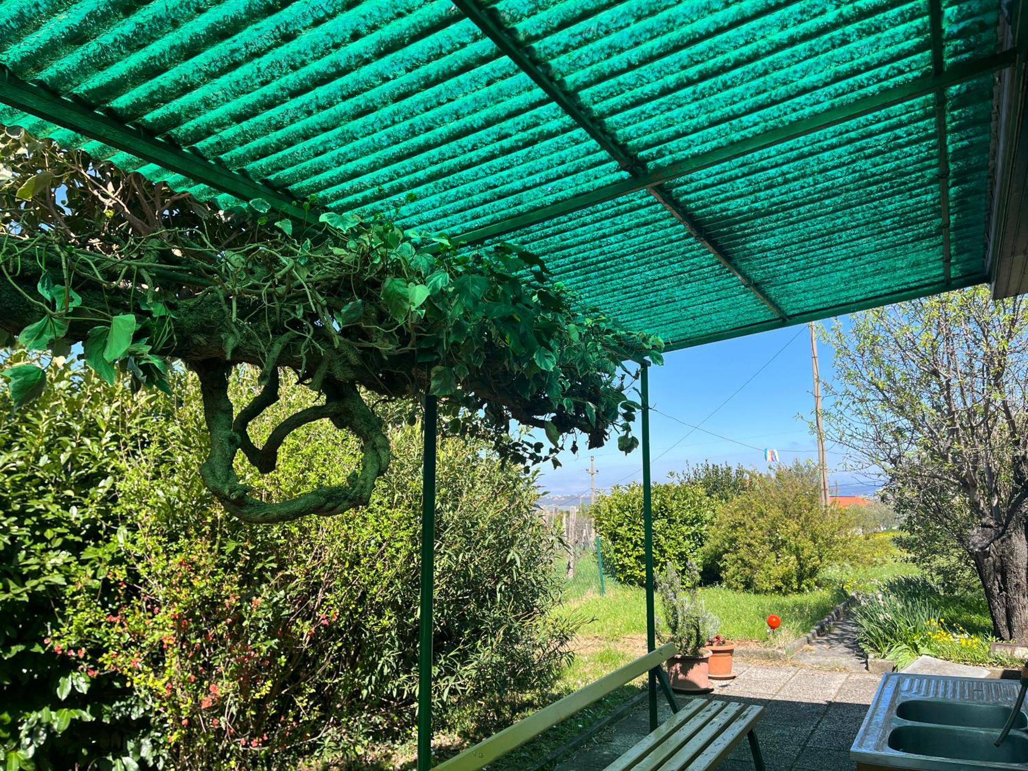Apartma Korelc Koper Exterior foto