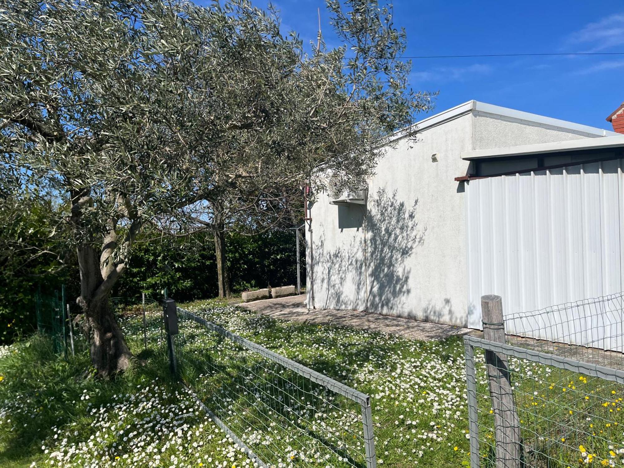 Apartma Korelc Koper Exterior foto